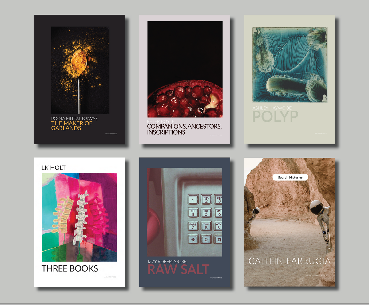 January 2024 Subscription (6 Books) Vagabond Press