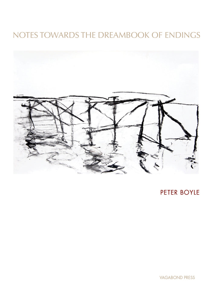 Peter Boyle, Notes Towards the Dreambook of Endings (Limited edition hardback)