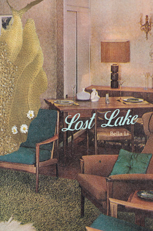 
                  
                    Load image into Gallery viewer, Bella Li, Lost Lake (Limited hardback edition of 30 signed copies)
                  
                