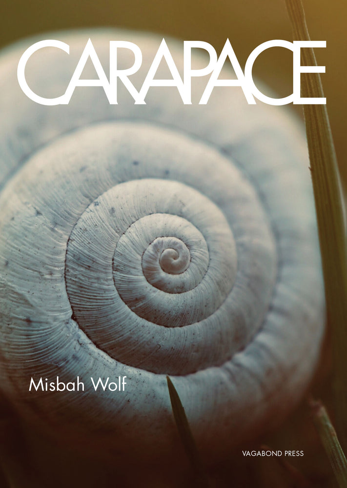 Misbah Wolf, Carapace