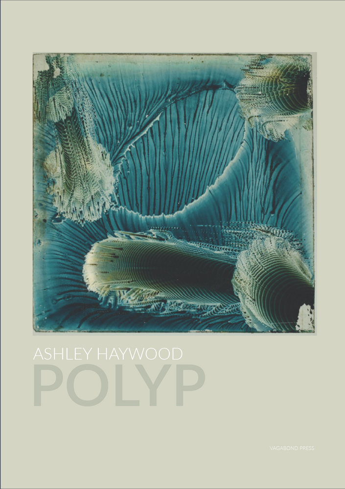 Ashley Haywood, Polyp