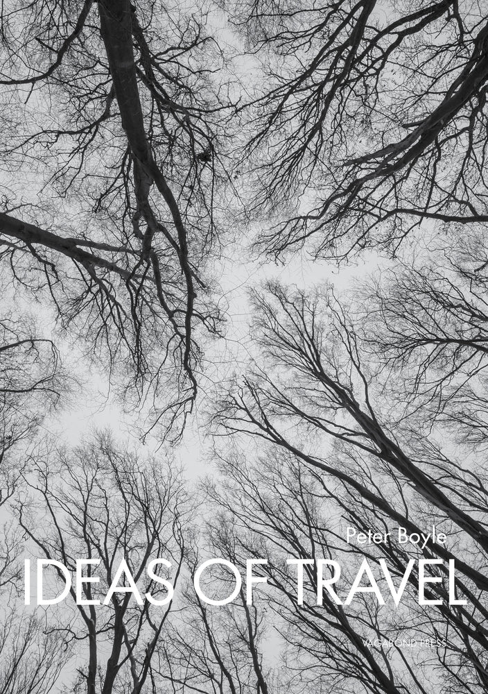 
                  
                    Load image into Gallery viewer, Peter Boyle, Ideas of Travel (Limited edition hardback)
                  
                
