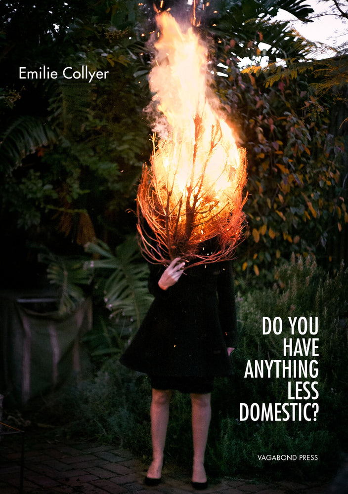 Emilie Collyer, Do you have anything less domestic? (Limited edition hardback)