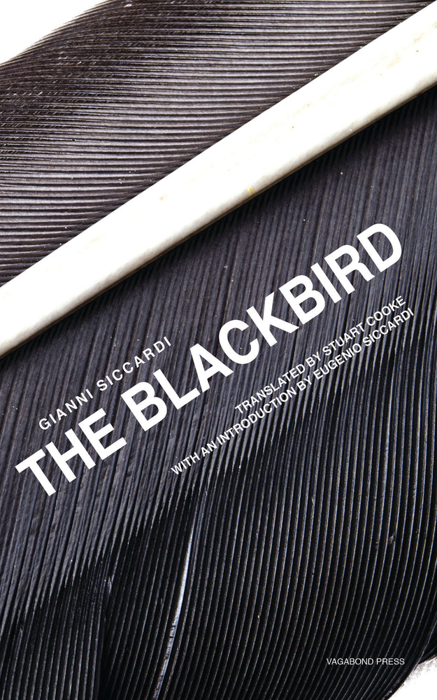 Gianni Siccardi, The Blackbird