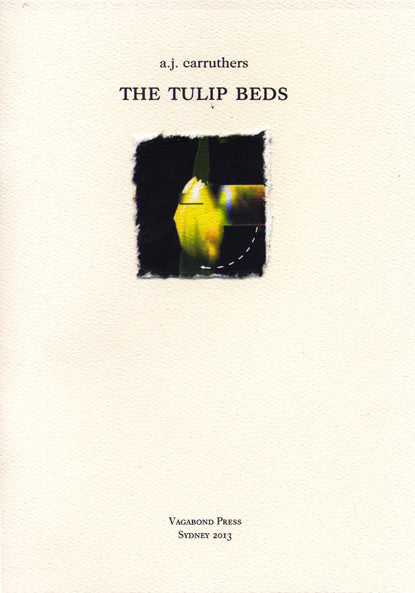 A.J.Carruthers, The Tulip Beds